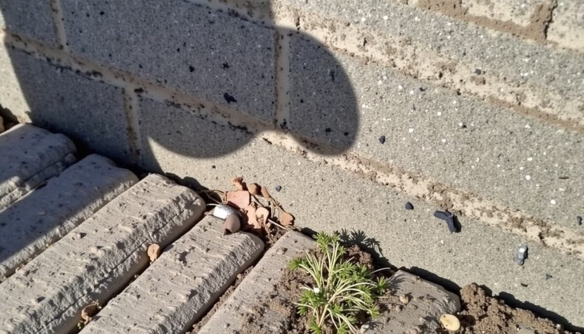 Comment ouvrir un mur en pierre en toute sécurité sans utiliser d’étais